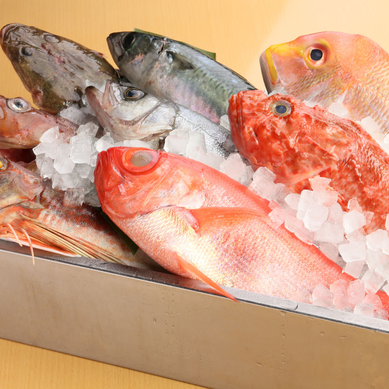 日替わり鮮魚(単品)