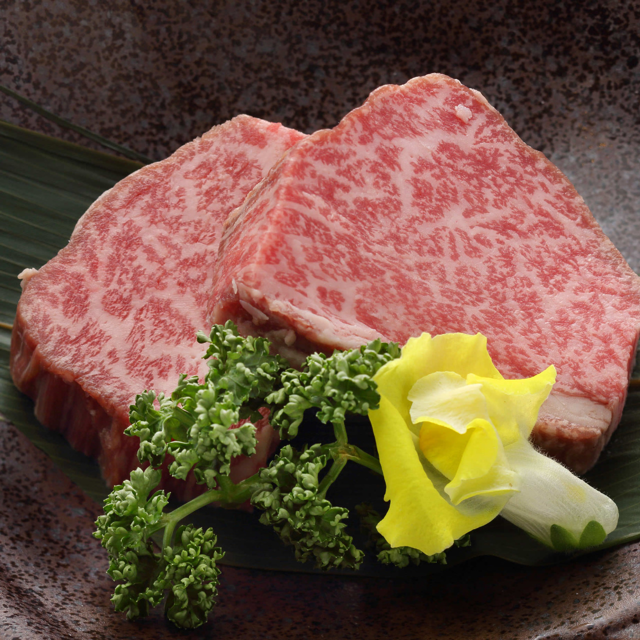 飛騨牛 特選ヒレ